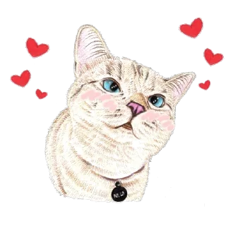 Iam your Cat @stickersb2b