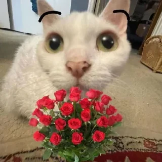 🌼