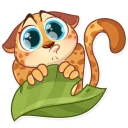 🐱