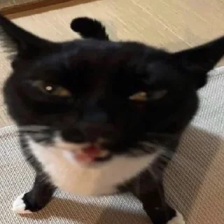 🤬