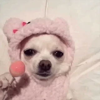 😛