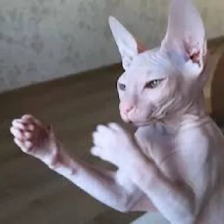 💪