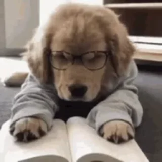 🤓