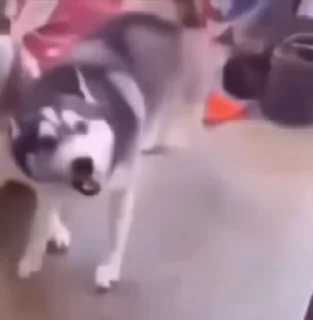 🕺