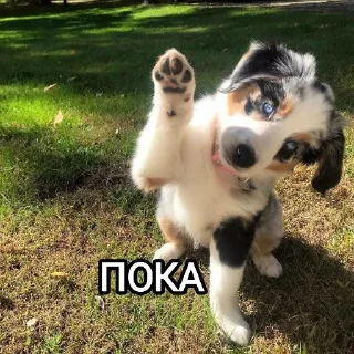🥱
