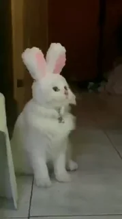 🧐