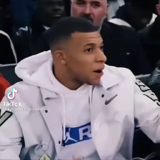 🐢