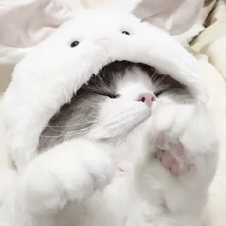😴