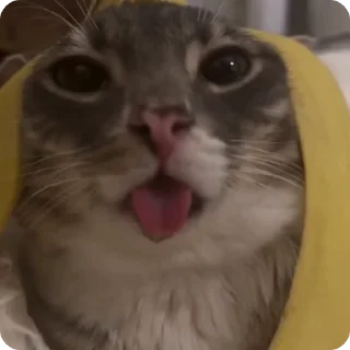 🍌