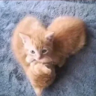 ❤️