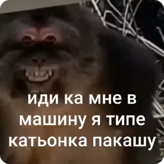 😏