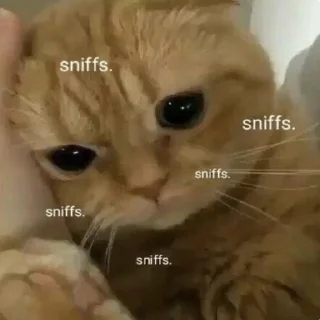 😭