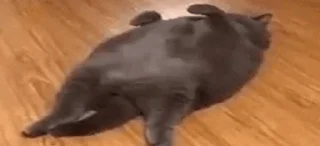 😌