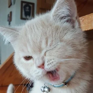 ☺️