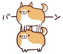 🐶