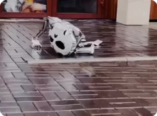 💀