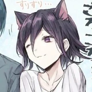 😽