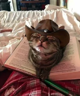 🤠