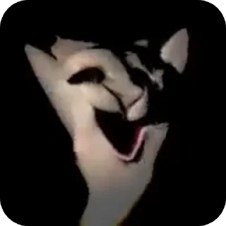 👻
