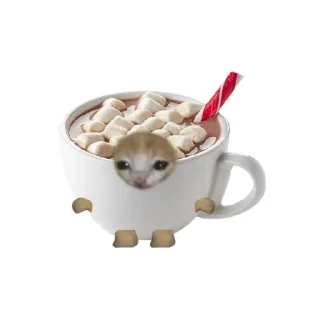 🐱