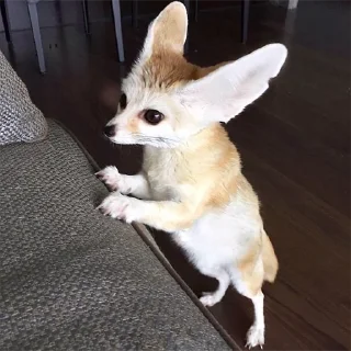 🙃