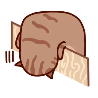 😴
