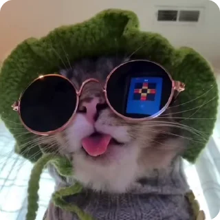 😎