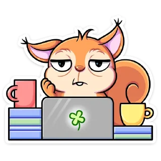 💻