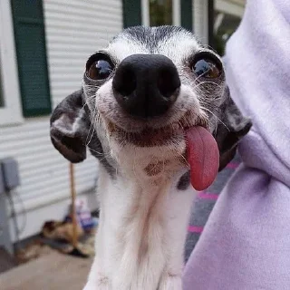 🌟