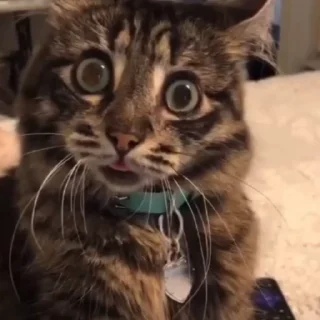 😳