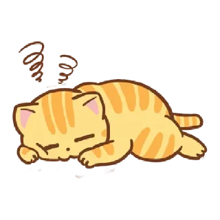 🐱