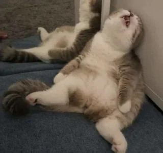 😫
