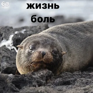 😞