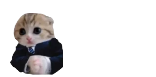 😎