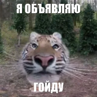 🤔