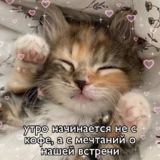 😇