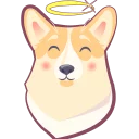 🐶