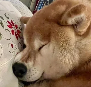 ☺️