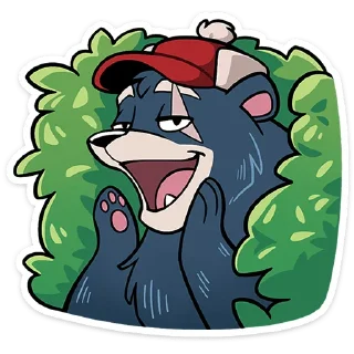 🐻