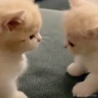 😚