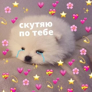 😭