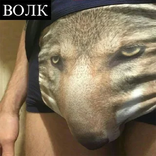 Be a wolf @stickersb2b