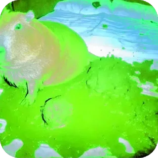 ✅