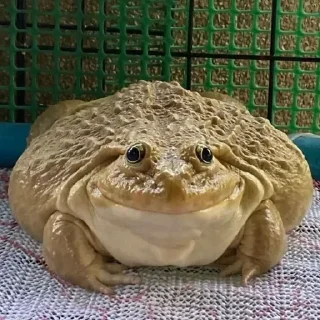 😀