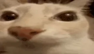 🫠