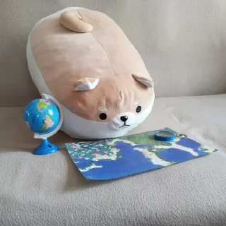 🗺