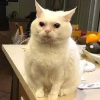 😕