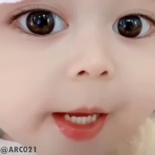 😽