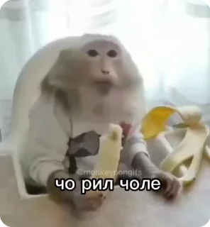 🌟