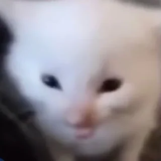 😬